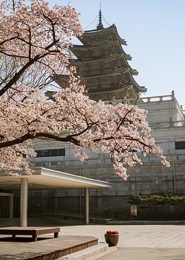 Korean Pagoda with Cherry Blossoms