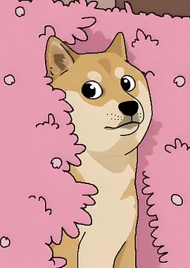 Doge in Cherry Blossoms