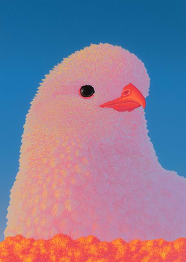 Pink Bird Portrait on Blue Background