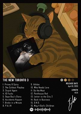 Cat listening to music album