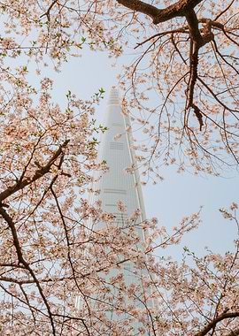 Lotte World Tower with Cherry Blossoms