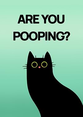 Black Cat asking 'ARE YOU POOPING?'