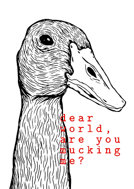 Duck Questioning the World