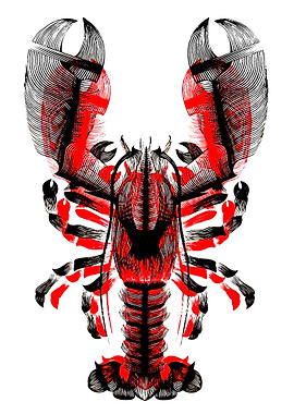 Red and Black Lobster Illustration