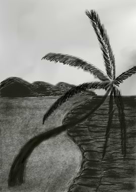 Monochrome Palm Tree Landscape