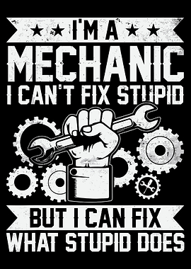 Funny Mechanic Quote Poster, I Cant Fix Stupid Wall Art, Garage Workshop Humor Print