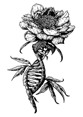 DNA and Flower Blackwork Illustration