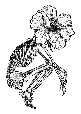 Skeleton with Flower Head Illustration