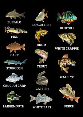 Freshwater Fish Species Poster, Realistic Fish Wall Art, Educational Aquarium Print