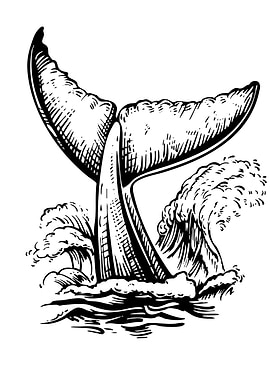 Whale Tail in Ocean Waves