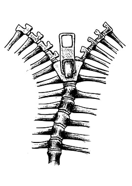 Zipper Ribcage Illustration