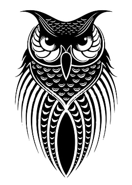 Stylized Black and White Owl Illustration