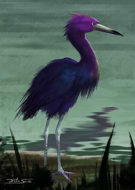 Little Blue Heron Painting