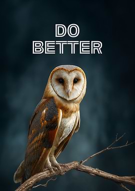 Do Better Owl