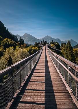 Wooden Bridge Over Forest Landscape