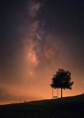 Tree swing under the Milky Way