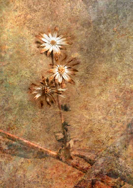 Textured Floral Still Life