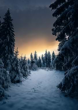 Winter forest with hunting tower