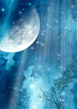 Moonlit Night Sky with Trees