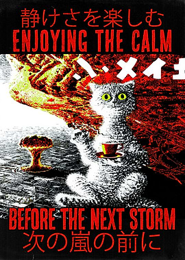 Calm Before the Chaos