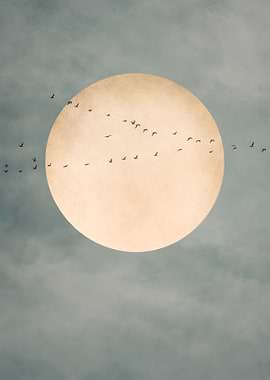 Birds Flying Over a Sage Moon