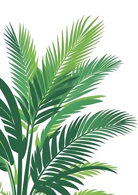 Tropical Green Palm Leaves Illustration