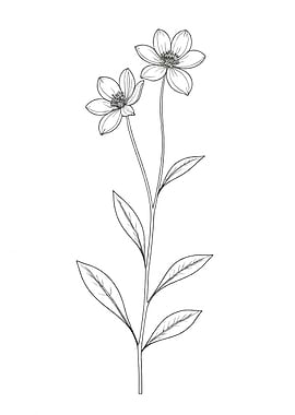 Floral Line Art with Two Flowers