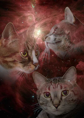 Cosmic Cats in Nebula
