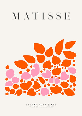 MATISSE | Fauvism OP
