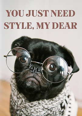 Stylish Pug with Glasses and Scarf