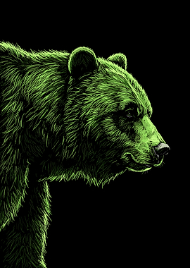 Bear Illustration on Black Background