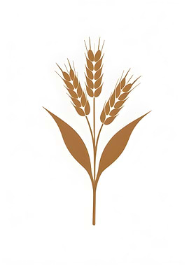 Wheat Stalk Illustration