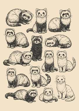 Ferret Sketch Poster, Cute Ferret Wall Art, Animal Illustration Print, Minimalist Pet Decor