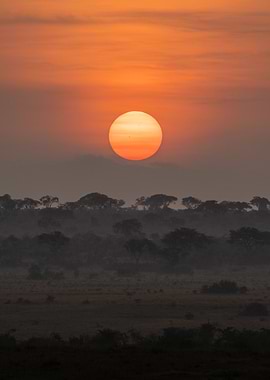 African Sunrise Landscape