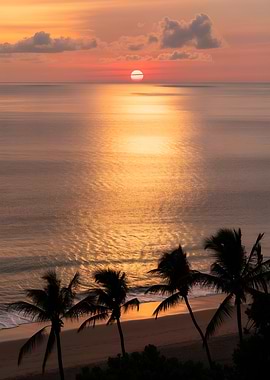 Tropical Sunset Over Ocean with Palm Trees