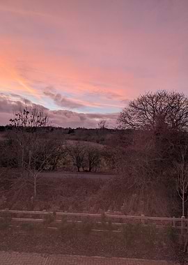 Pink Sunset Over Winter Landscape