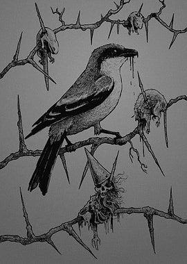 Shrike with Impaled Prey