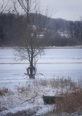 Winter Landscape with Tree and Boat