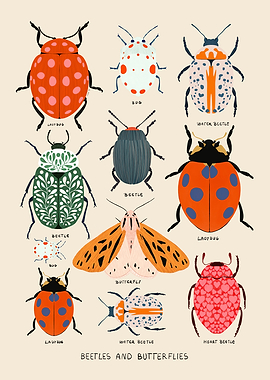 Beetles and Butterflies Illustration