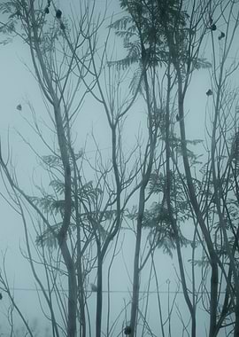 From the collection, 'Cold Sun'