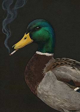 Smoking Duck Portrait