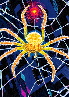 Spider in Web with Red Burst
