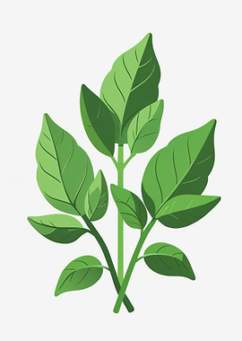 Green Leafy Plant Illustration