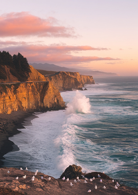 Coastal Cliffs at Sunset with Seagulls