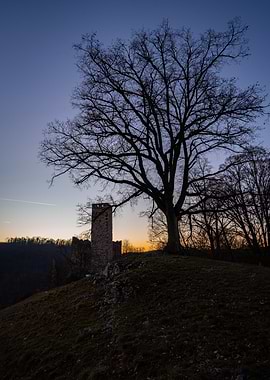Castle Ruins and Tree at Dusk
