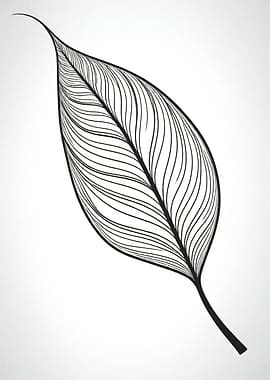 Minimalist Leaf Line Art
