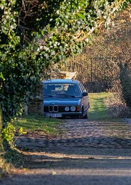 Classic BMW in a Natural Setting