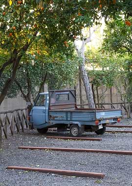 Blue Tuk Tuk in Orchard