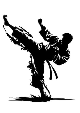 Karate Kick Silhouette