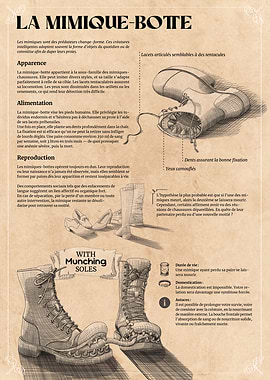 La Mimique-Botte: Monster Shoe Guide